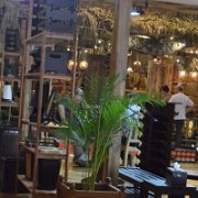 ifex-event-2017-27