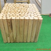 ifex-event-2017-49