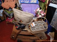titi-collection-4