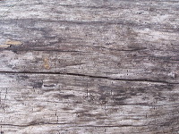 antique-furniture-09