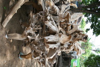 antique-furniture-110