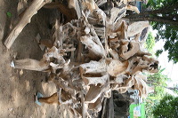antique-furniture-37