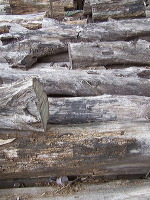 antique-furniture-38