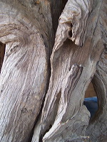 antique-furniture-95
