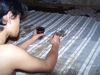 batik-tulis-bondowoso-06