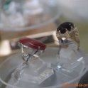 al-safa-gemstone-surabaya-2