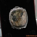 bandar-batu-bergambar-surabaya-3