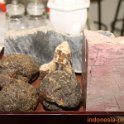 makmur-abadi-surabaya-9