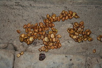 indonesia-product-c_1f83f32