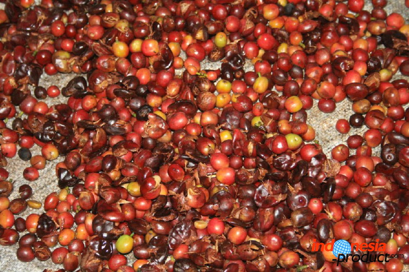 indonesia-product-c_1f83f2b.jpg