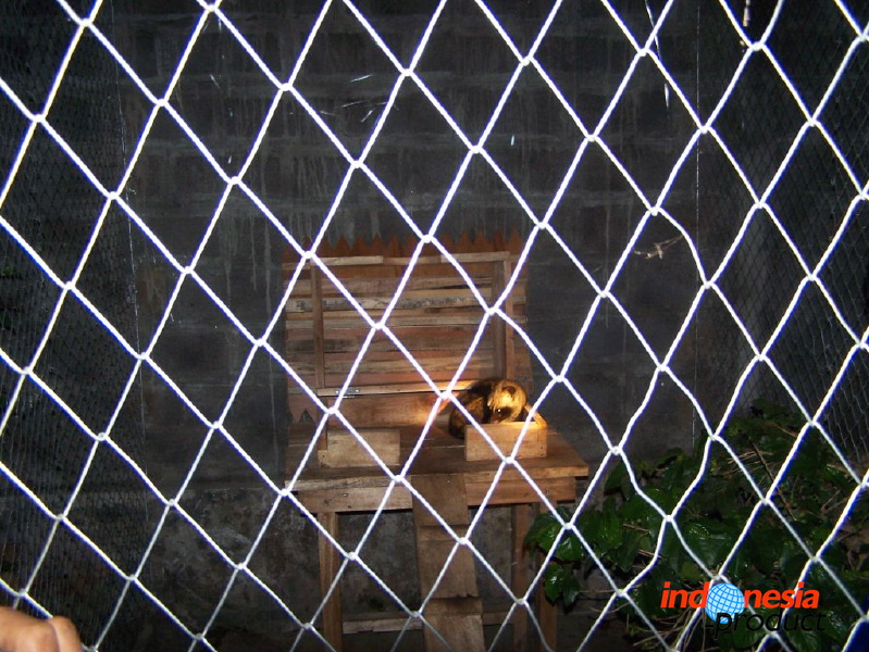 indonesia-product-c_1f83f37.jpg