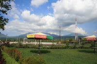 jampit-coffee-plantation-01