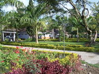 jampit-coffee-plantation-07