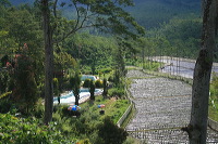 jampit-coffee-plantation-09