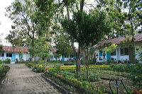 jampit-coffee-plantation-94