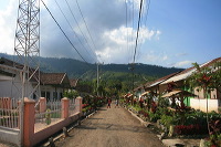 jampit-coffee-plantation-99