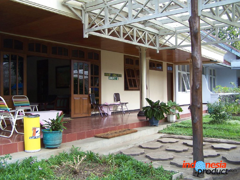 jampit-coffee-plant_1f83e50.jpg