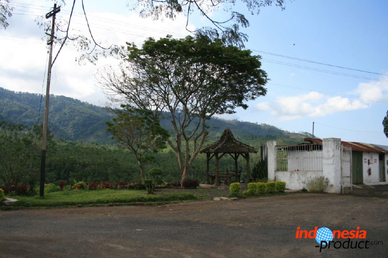 jampit-coffee-plantation-65.jpg