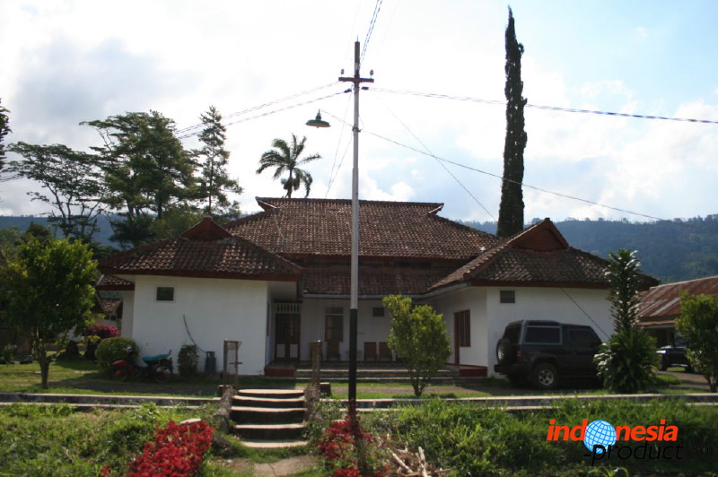jampit-coffee-plantation-68.jpg