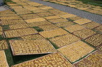 crackers-village-14