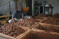 duck-farm-sidoarjo-07