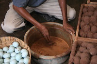 duck-farm-sidoarjo-11