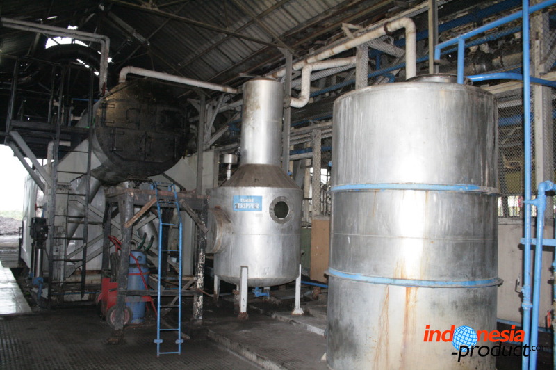 eucalyptus-oil-fact_1f87478.jpg