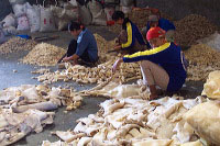 images/link/rambak-crackers.jpg