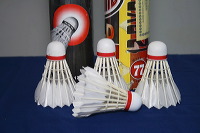 images/link/shuttlecock.jpg