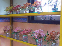 indonesia-product-h_1f85e4e