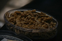 mushroom-village-02