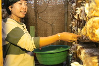 mushroom-village-06