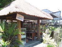 orchid-market-05