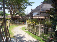 orchid-market-25