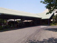 orchid-market-32