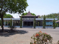 orchid-market-35