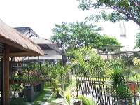 orchid-market-69
