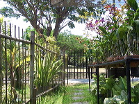 orchid-market-70