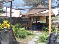 orchid-market-74