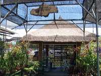 orchid-market-76