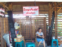orchid-market-82