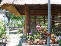 orchid-market-84