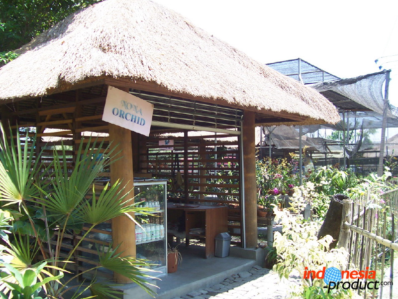 orchid-market-05.jpg