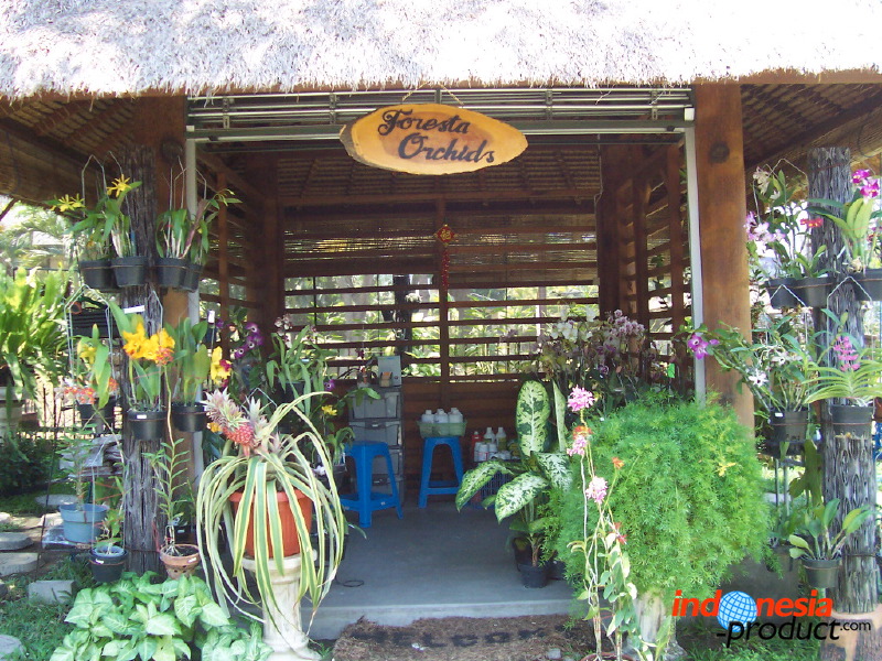 orchid-market-63.jpg