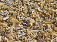 rambak-crackers-moj_1f861f9
