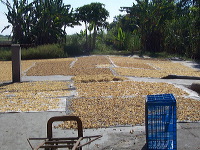 rambak-crackers-moj_1f8620f