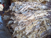 rambak-crackers-moj_1f8621f