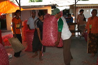 red-onion-market-01