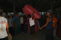 red-onion-market-09