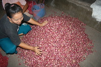 red-onion-market-10